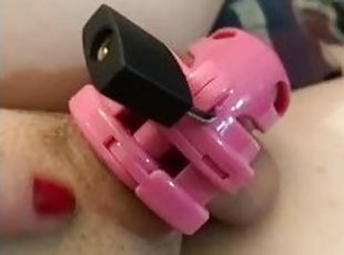 Chastity cage close up