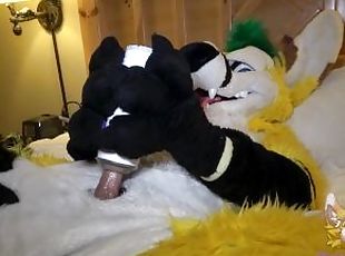 Furry uses sex toy until he cums